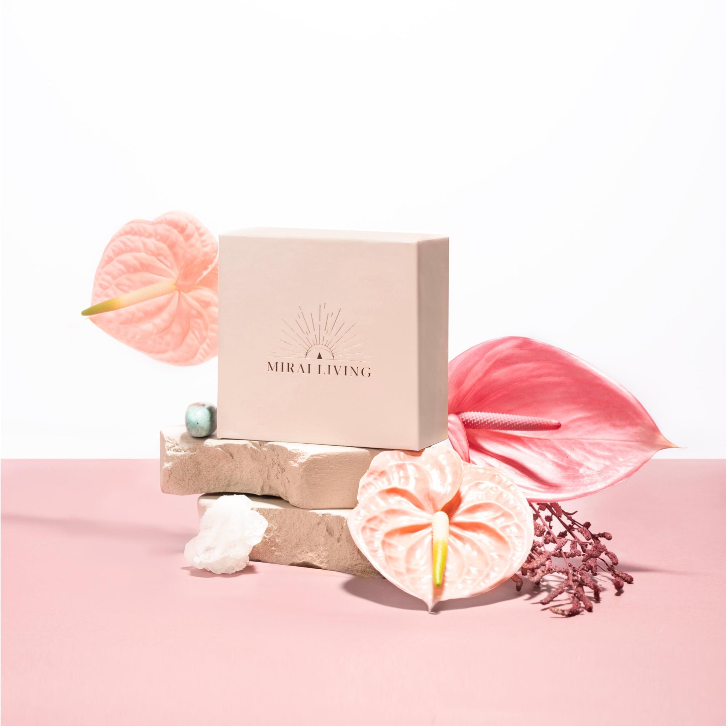 ABUNDANCE - THE SUCCESS AND GOOD LUCK BOX